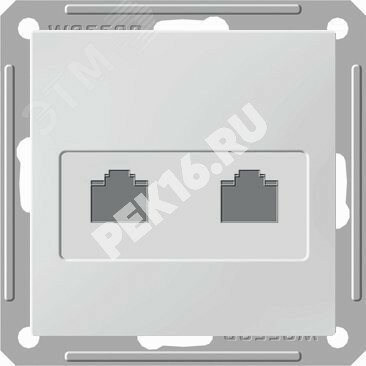 Купить W59 Розетка двойная компьютерная скрытая в рамку белая в Казани W59 Розетка двойная компьютерная скрытая в рамку белая