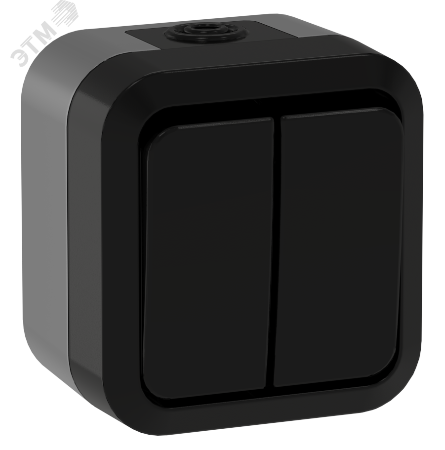 TORS Выключатель двухклавишный проходной 10А IP55 TS125 графит IEK