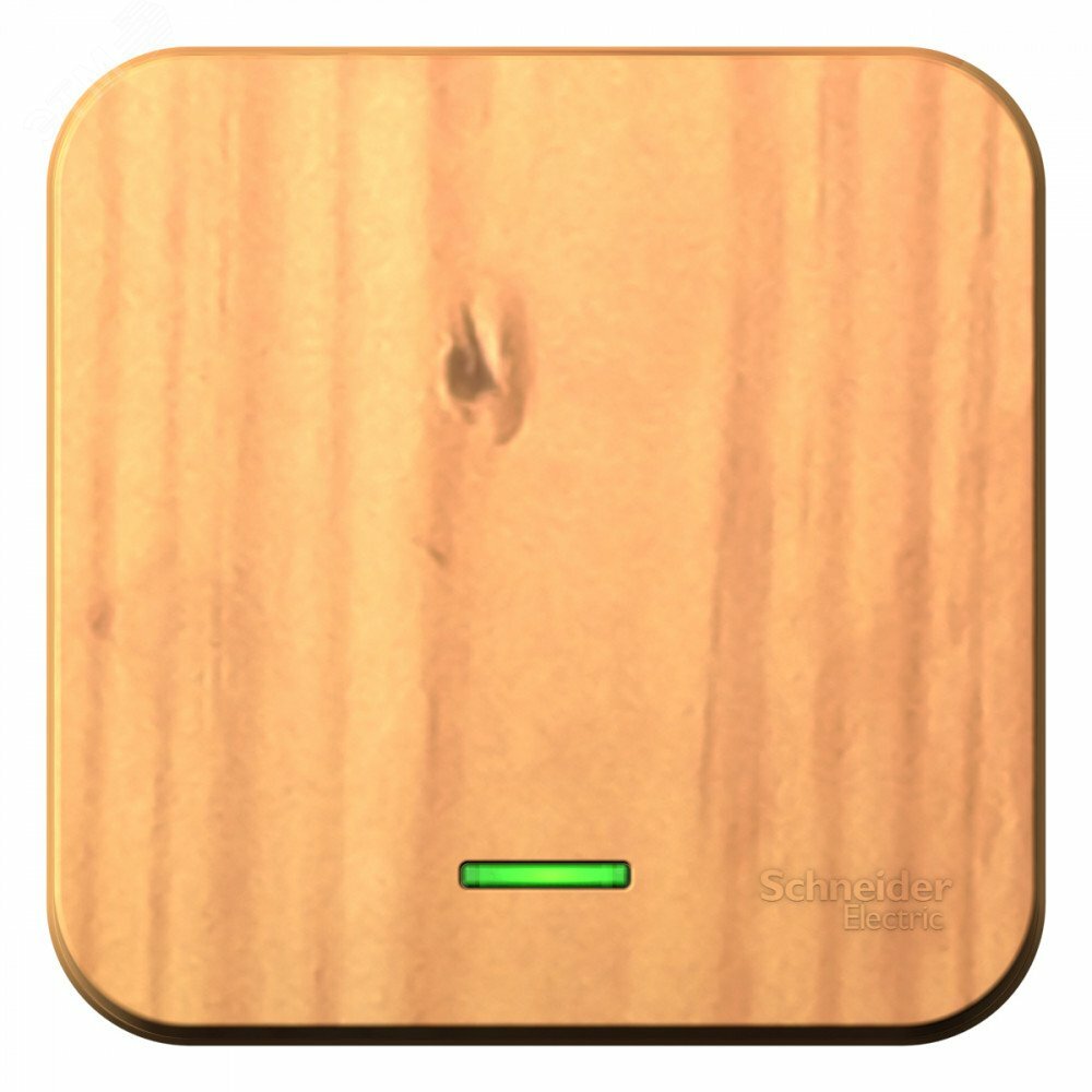 Купить BLANCA одноклавишный выключатель наружный (cх.1) с подсветкой и изолирующей пластиной, 10а, 250b, ясень в Казани BLANCA одноклавишный выключатель наружный (cх.1) с подсветкой и изолирующей пластиной, 10а, 250b, ясень