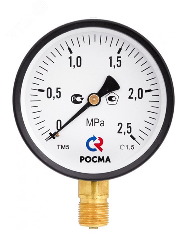 Манометр общетехнический ТМ-310Т 0-6MPa осевой 63мм G1/4 кл. т. 1.5