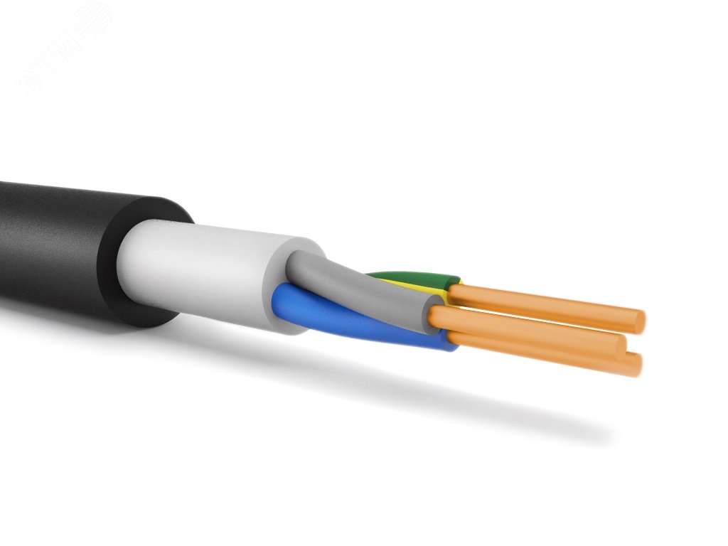 Кабель силовой ППГнг(А)-HF 3х4 (N.PE)-0.660 однопроволочный                                                                                                                                                                                                                                                                                                                                                                                                        ТРТС
