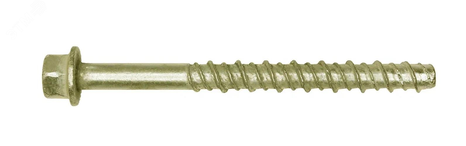 Анкер-шуруп (НUS-F) 10х80 (10 шт)