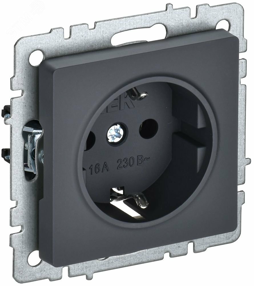 Купить BRITE Розетка с заземлением с защитными шторками 16А РС14-1-0-БрГ графит в Казани BRITE Розетка с заземлением с защитными шторками 16А РС14-1-0-БрГ графит