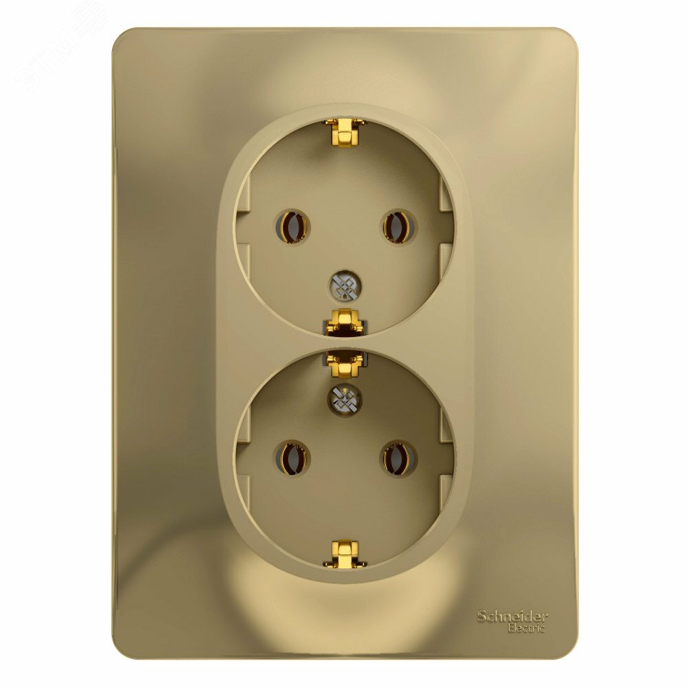 Купить GLOSSA Розетка двойная с заземлением в сборе титан в Казани GLOSSA Розетка двойная с заземлением в сборе титан