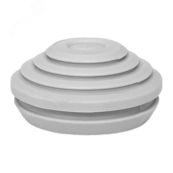 Купить Сальник d=28мм (Dотв.бокса 32мм) EKF Proxima в Казани Сальник d=28мм (Dотв.бокса 32мм) EKF Proxima