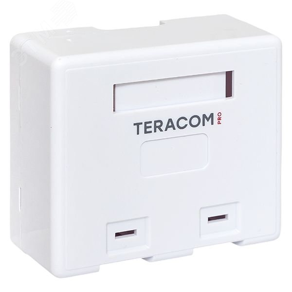 Купить Корпус настенной розетки TERACOM PRO на 2 модуля Keystone со шторками и маркерами белый в Казани Корпус настенной розетки TERACOM PRO на 2 модуля Keystone со шторками и маркерами белый
