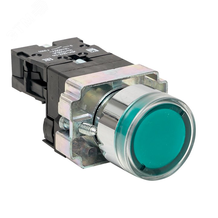 Купить Кнопка BA31 с подсветкой 230В зеленая NO PROxima в Казани Кнопка BA31 с подсветкой 230В зеленая NO PROxima