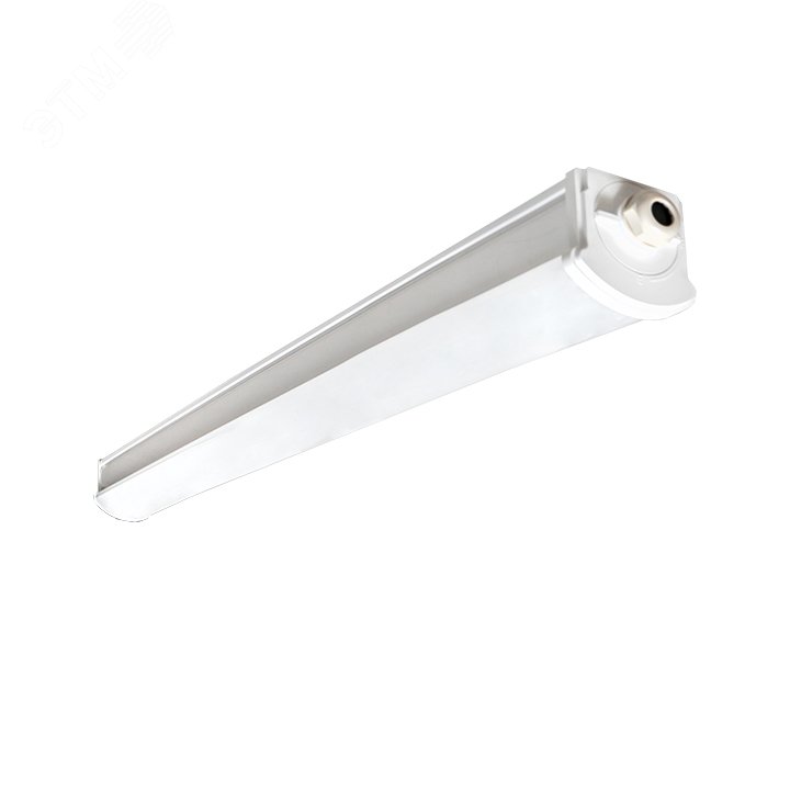 Купить Светильник светодиодный пылевлагозащищенный ДСП-2008А 34Вт 6500К IP66 1200мм с блоком аварийного питания PROxima в Казани Светильник светодиодный пылевлагозащищенный ДСП-2008А 34Вт 6500К IP66 1200мм с блоком аварийного питания PROxima