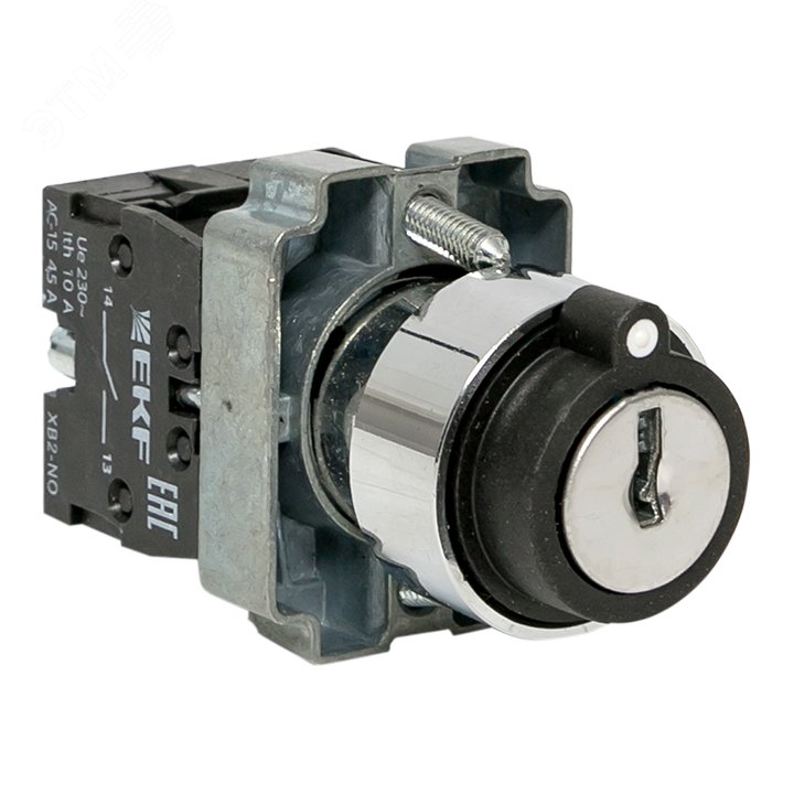 Купить Переключатель BG33 3 полюса с замком не возвратный 2NO в Казани Переключатель BG33 3 полюса с замком не возвратный 2NO