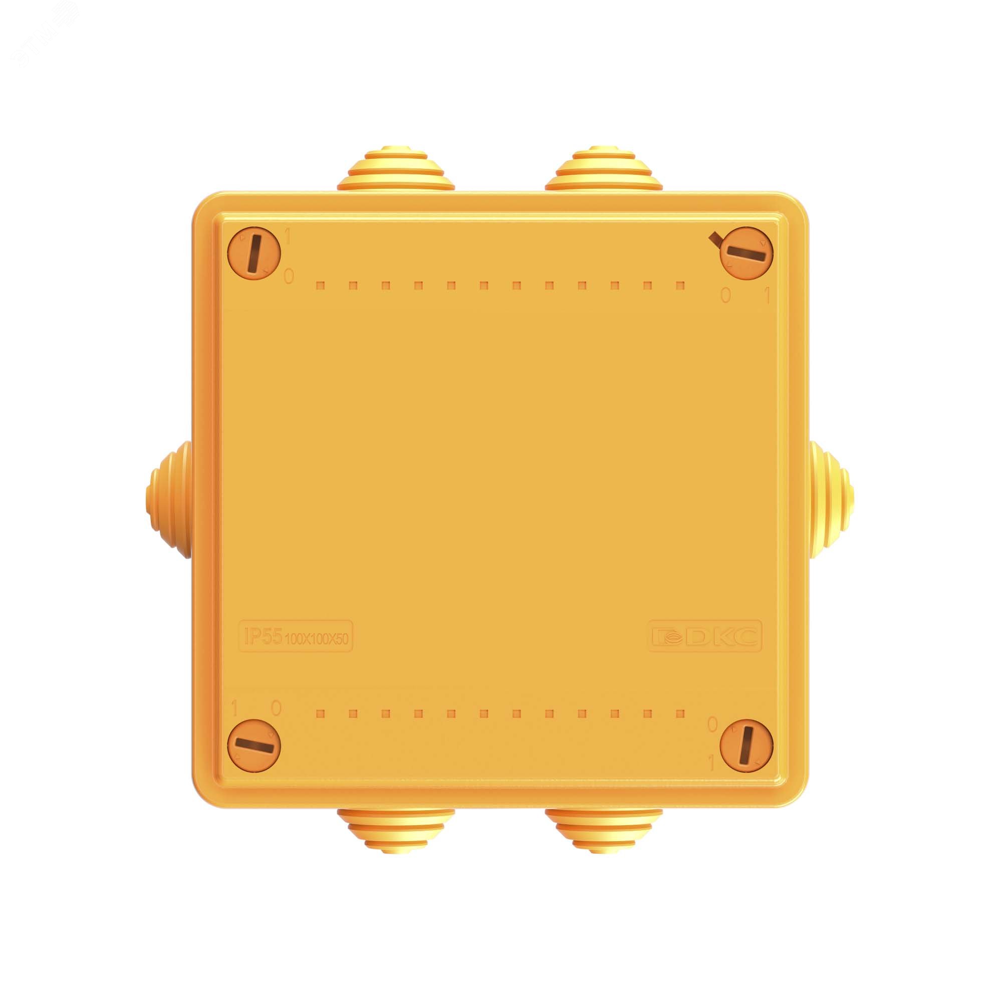Купить Коробка пластиковая FS с кабельными вводами и клеммниками IP56 100х100х50мм 6р 450V 6A 4мм кв. в Казани Коробка пластиковая FS с кабельными вводами и клеммниками IP56 100х100х50мм 6р 450V 6A 4мм кв.