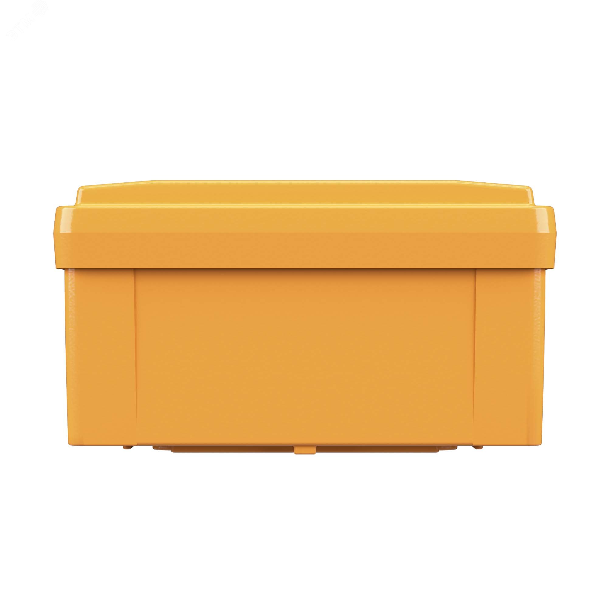 Купить Коробка пластиковая FS с гладкими стенками и клеммниками IP56 100х100х50мм 4р 450V 6A 4мм.кв в Казани Коробка пластиковая FS с гладкими стенками и клеммниками IP56 100х100х50мм 4р 450V 6A 4мм.кв