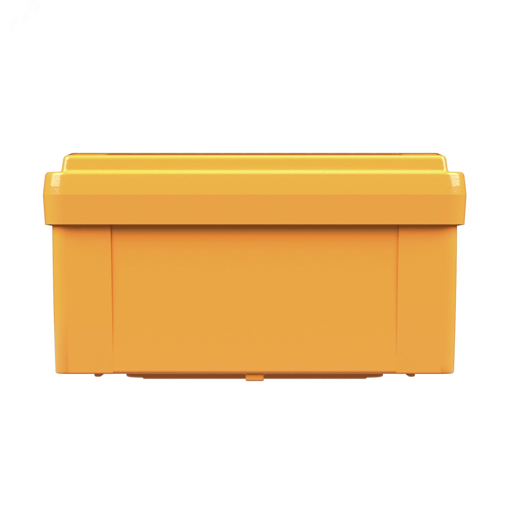 Купить Коробка пластиковая FS с гладкими стенками и клеммниками IP56 100х100х50мм 4р 450V 6A 4мм.кв в Казани Коробка пластиковая FS с гладкими стенками и клеммниками IP56 100х100х50мм 4р 450V 6A 4мм.кв