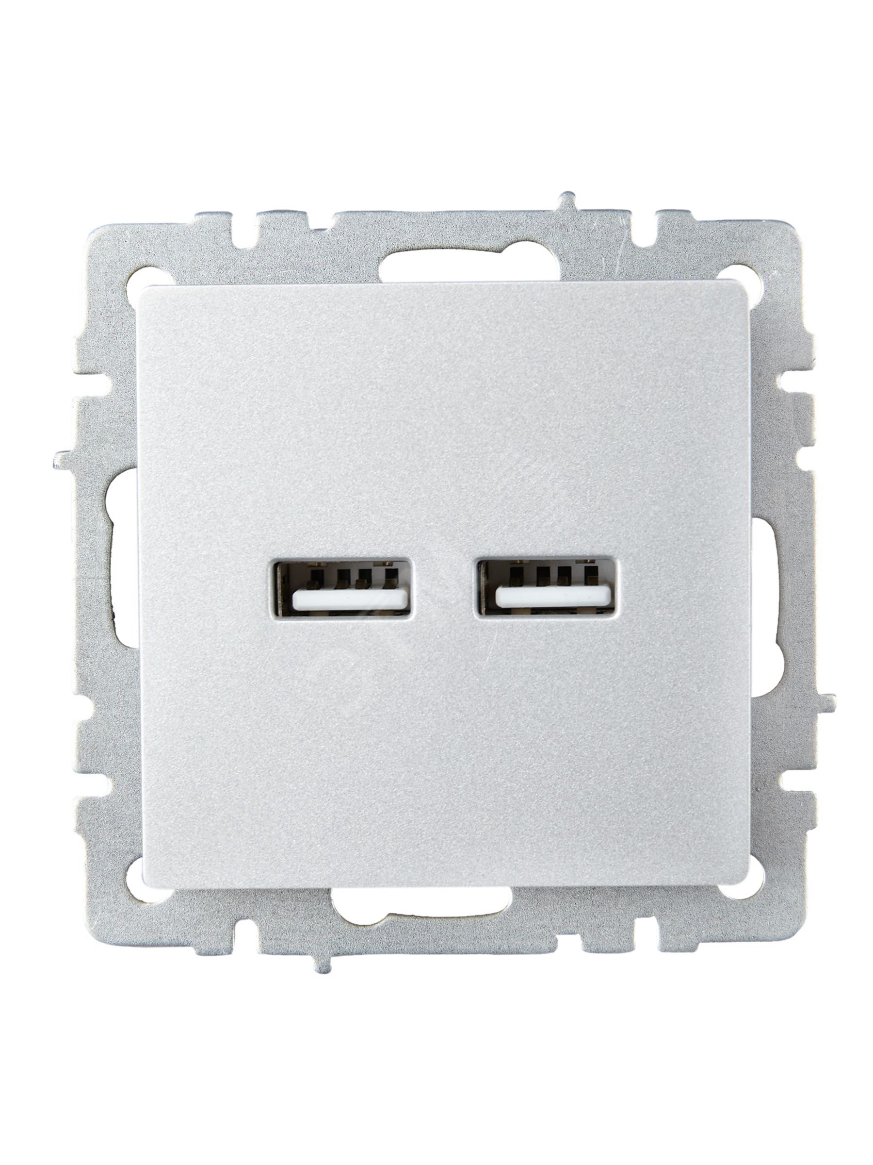 Купить BRITE Розетка USB A+A 3.1А РЮ10-1-БрА алюминий в Казани BRITE Розетка USB A+A 3.1А РЮ10-1-БрА алюминий