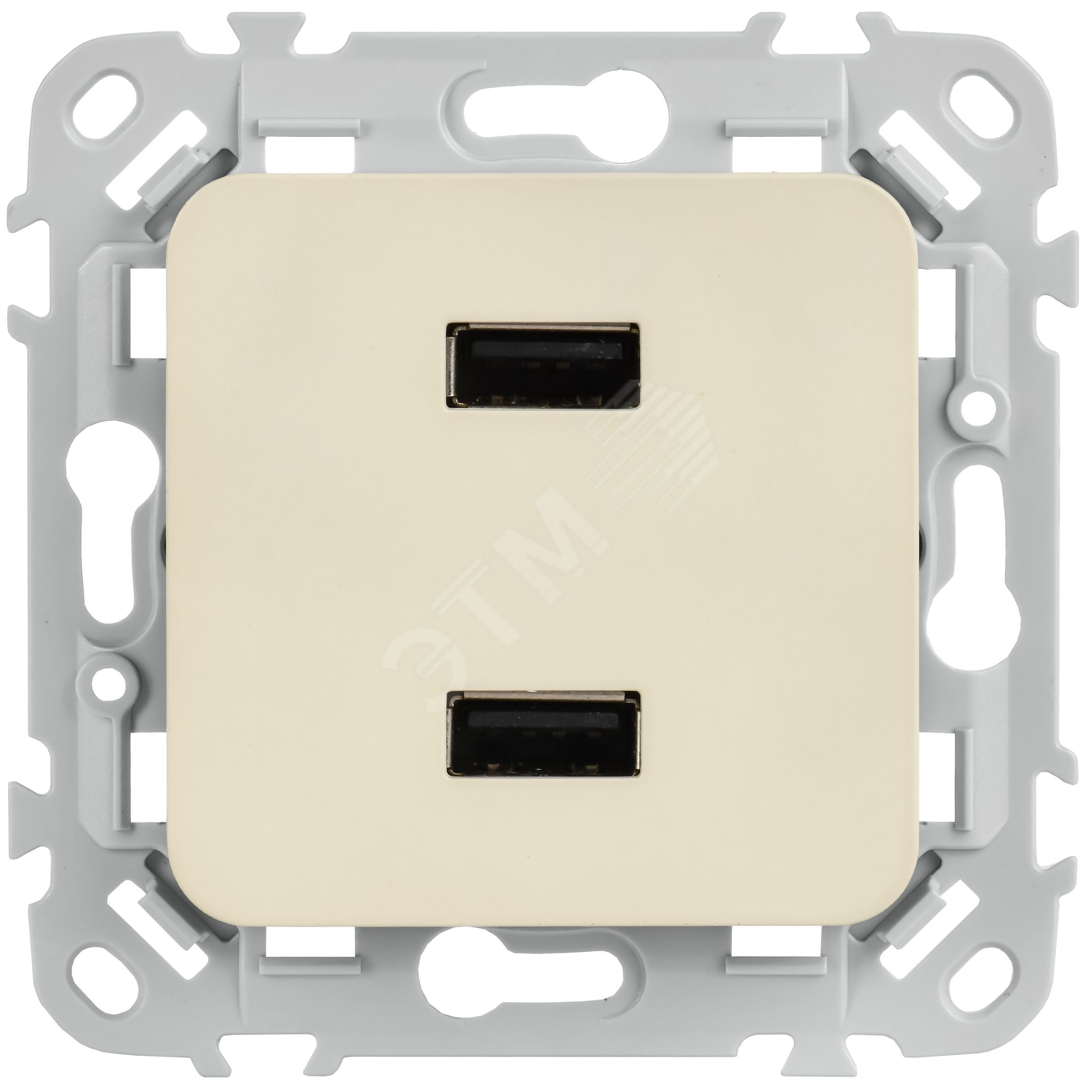 Купить FLITE Розетка USB A+A 3,1А РЮ-2-ФлСл сливочный IEK в Казани FLITE Розетка USB A+A 3,1А РЮ-2-ФлСл сливочный IEK