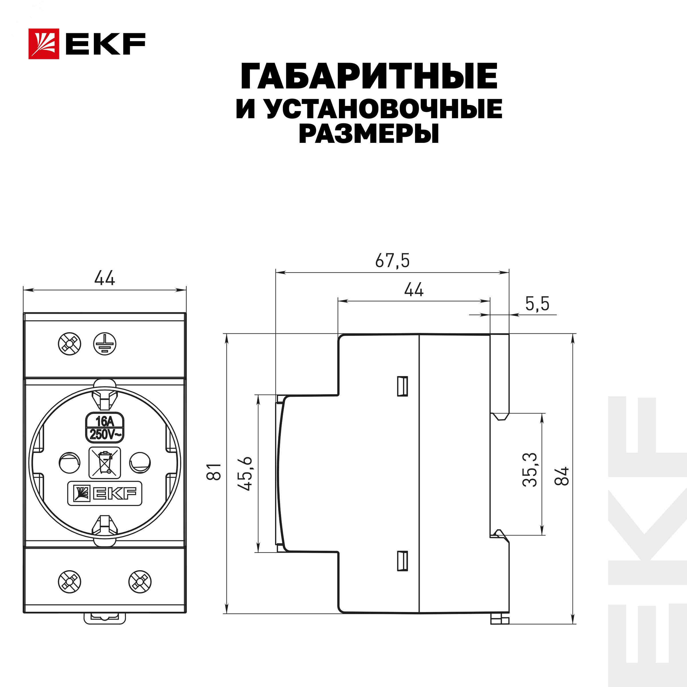 Купить Розетка щитовая на DIN-рейку РДЕ-47 16А (под евро вилку сзаземлением) EKF PROxima в Казани Розетка щитовая на DIN-рейку РДЕ-47 16А (под евро вилку сзаземлением) EKF PROxima