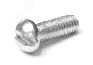 Винт с плоским шлицем М6х20 нержавеющая сталь AISI 316L