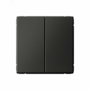 ARTGALLERY 2-клавишный ВЫКЛЮЧАТЕЛЬ, 10АХ, механизм, быстрозажимные клеммы, БАЗАЛЬТ