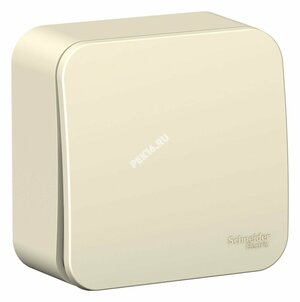 Выключатель BLANCA одноклавишный наружный (схема 1) с изоляционной пластиной 10A 250B молочный