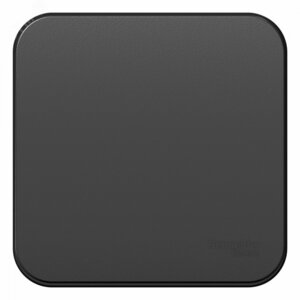 BLANCA одноклавишный выключатель наружный (cх.1) с самовозв.,изол.пл.,10а,антрацит