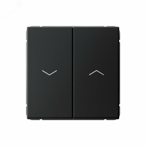 ARTGALLERY 2-клавишный выключатель для жалюзи, 2х сх.4, 10А, механизм, карбон