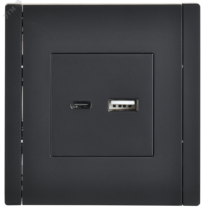 FORTE&PIANO Розетка USB A+C 18Вт FP151 черный IEK