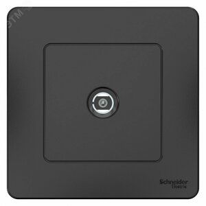 BLANCA скрытой установки коннектор тв, антрацит