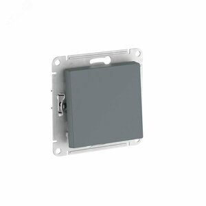 ATLASDESIGN 1-клавишный ВЫКЛЮЧАТЕЛЬ, сх.1, 10АХ, быстрозажимные клеммы, ГРИФЕЛЬ