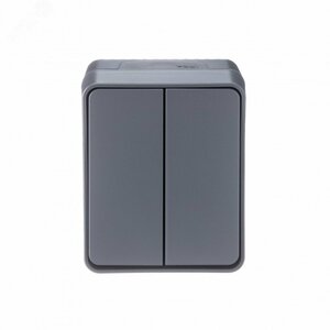 AtlasDesign Profi54 выключатель двухклавишный IP54 10 АХ, АНТРАЦИТ, Россия