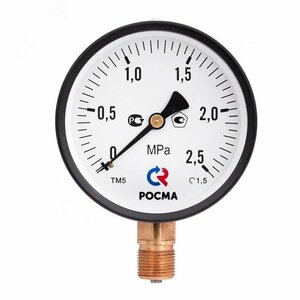 Манометр общетехнический радиальный ТМ-110Р.00 0…2,5 МРа М10х1.2 кл.2.5