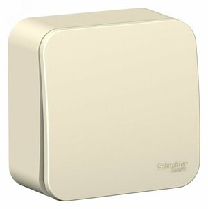 BLANCA одноклавишный выключатель наружный (cх.1) с изолирующей пластиной, 6а, 250в, молочный