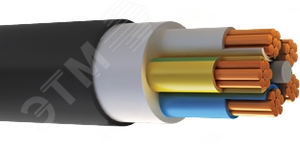 Кабель силовой ВВГнг(А)-LS 5х35,0 мк (N,РЕ)-0,66 ТРТС