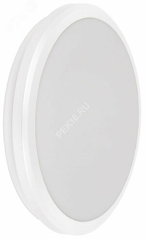 Светильник светодиодный ДПБ 3001 12Вт IP54 4000K круг белый