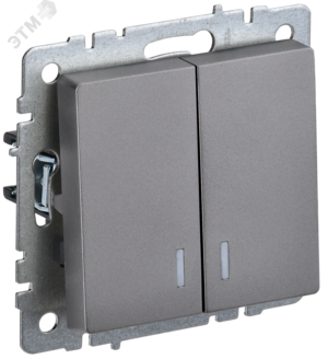 BRITE Выключатель двухклавишный с индикацией 10А ВС10-2-1-БрС сталь