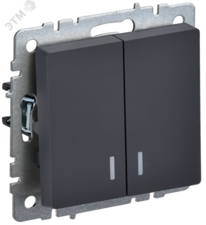 BRITE Выключатель двухклавишный с индикацией 10А ВС10-2-1-БрГ графит