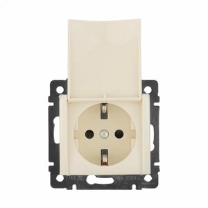 VALENA Розетка с заземлением с крышкой в рамку слоновая кость