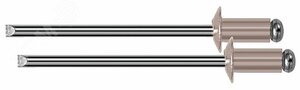 Заклепки мелкая фасовка, 50 шт, 3.2 х 6 мм