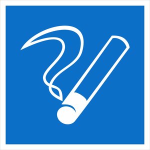 Наклейка »Место курения» D03 (200х200мм)